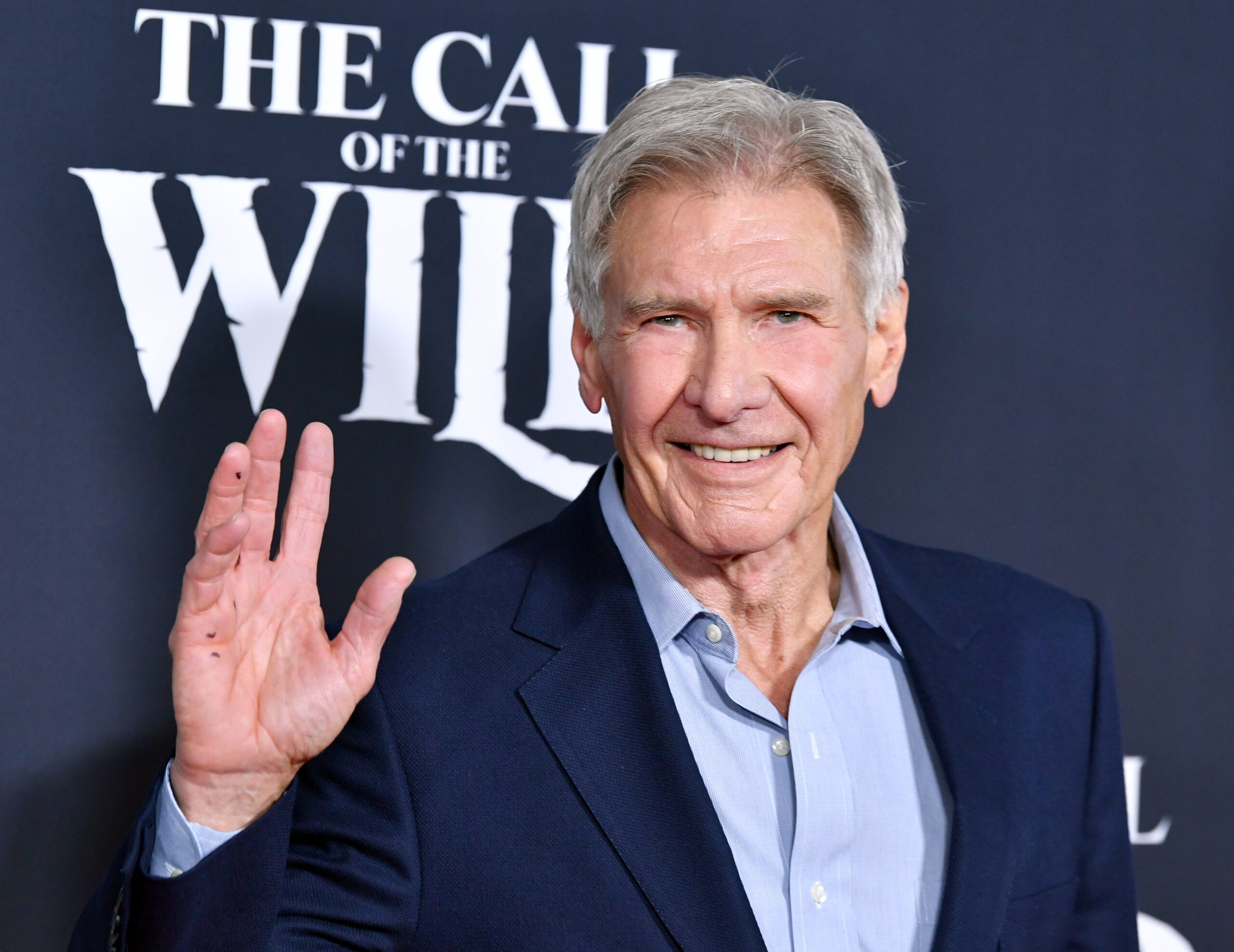 Harrison Ford's Net Worth in 2024